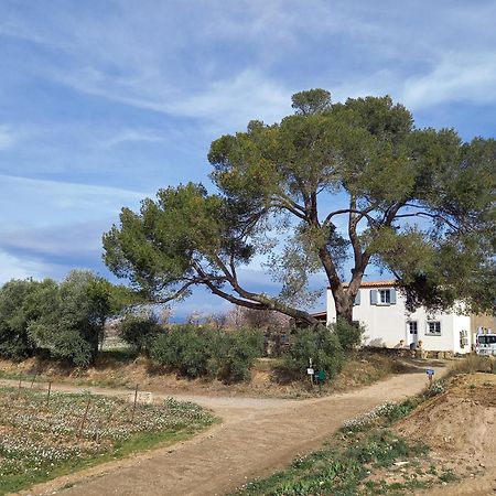 Domaine Saint Augustin Villa Rieux-Minervois Exterior photo
