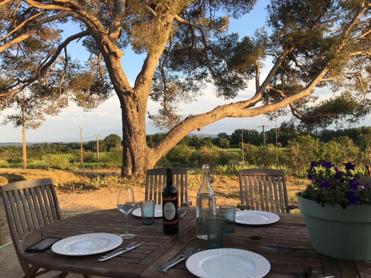 Domaine Saint Augustin Villa Rieux-Minervois Exterior photo